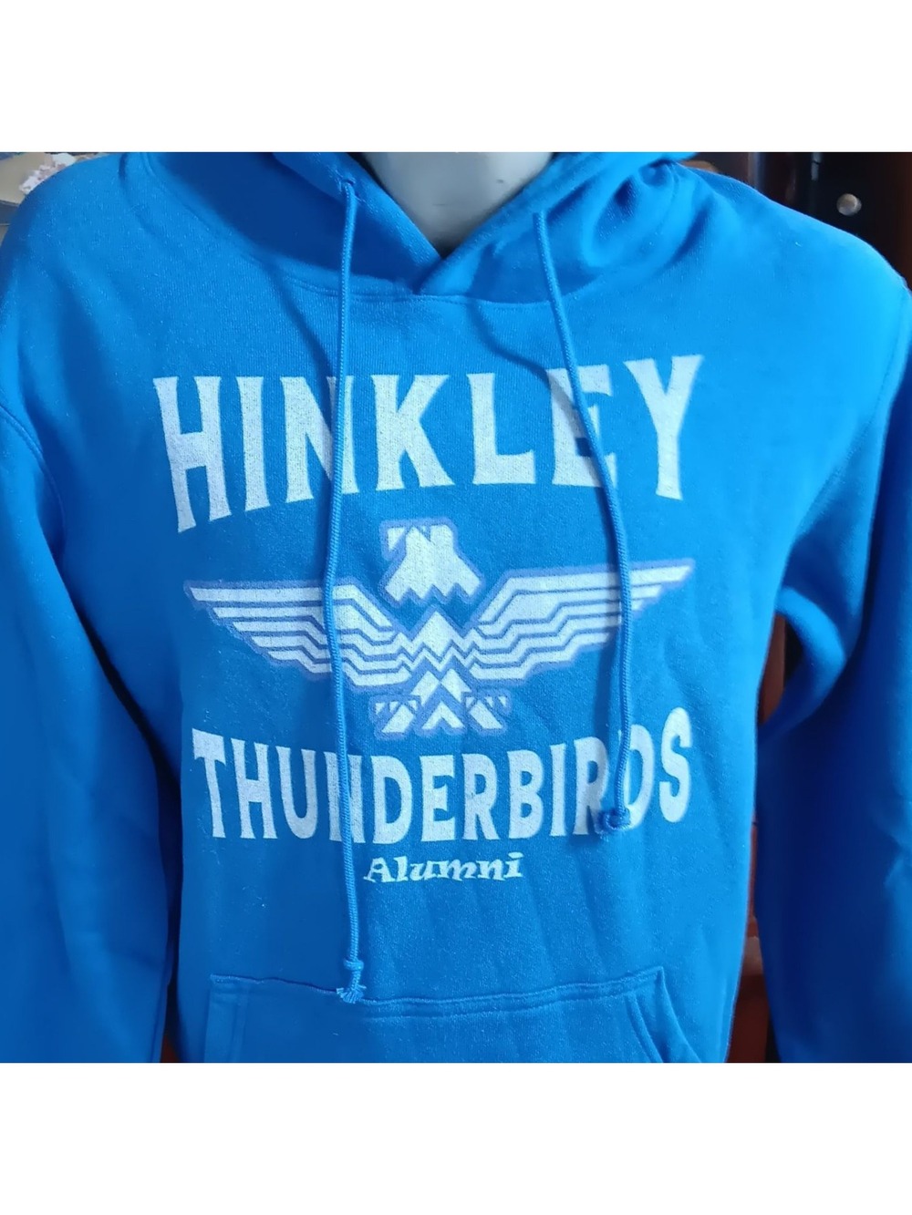 Aurora Colorado Hoodie Sweatshirt Medium Hinkley Thunderbirds Alumni Delta Y2K